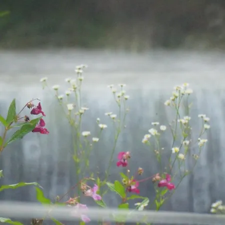 Apartament Dzido Hermagor-Pressegger See